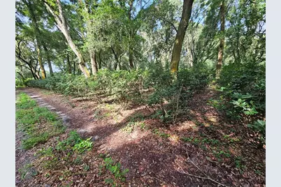610 Burnsed Road, Pierson, FL 32180 - Photo 10