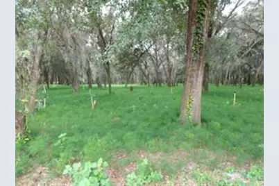 610 Burnsed Road, Pierson, FL 32180 - Photo 2