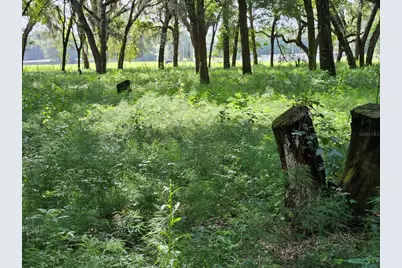 610 Burnsed Road, Pierson, FL 32180 - Photo 2