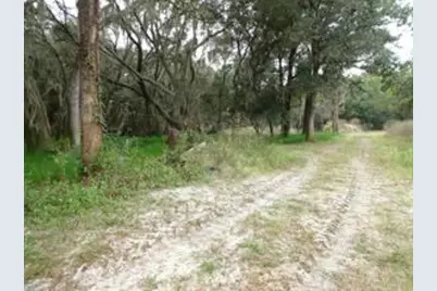 610 Burnsed Road, Pierson, FL 32180 - Photo 10