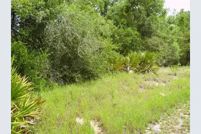 1457 Kissimmee Way, Kissimmee, FL 34759 - Photo 2