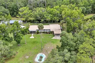 22308 Blue Creek Lodge Rd, Astor, FL 32102 - Photo 34