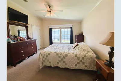 165 Sago Palm Drive, Leesburg, FL 34748 - Photo 42