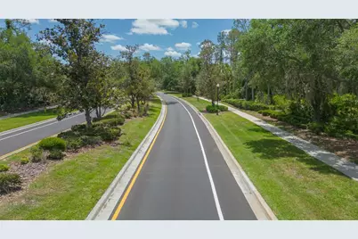 26731 Winged Elm Drive, Wesley Chapel, FL 33544 - Photo 58