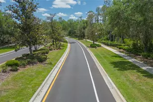 26731 Winged Elm Dr, Wesley Chapel, FL 33544 - Photo 58