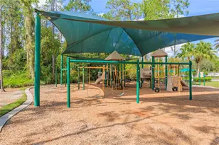 26731 Winged Elm Dr, Wesley Chapel, FL 33544 - Photo 64