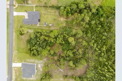 8017 Woodleaf Boulevard, Wesley Chapel, FL 33544 - Photo 2