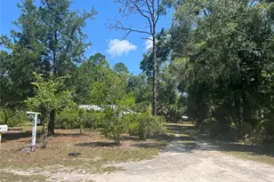 203 SE 45th Ave, Cross City, FL 32628 - Photo 22