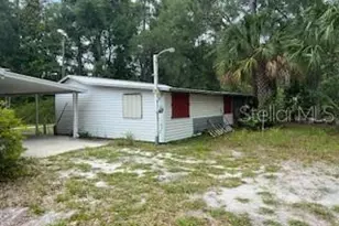203 SE 45th Ave, Cross City, FL 32628 - Photo 10