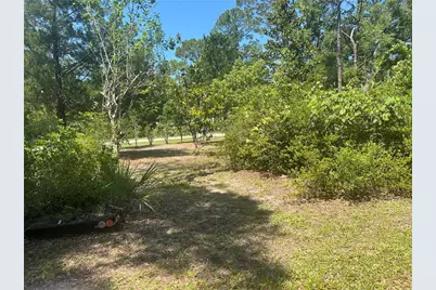 203 SE 45 Avenue, Cross City, FL 32628 - Photo 24