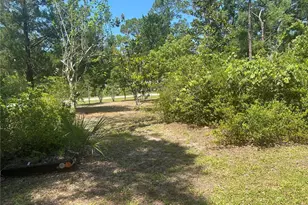 203 SE 45th Ave, Cross City, FL 32628 - Photo 24