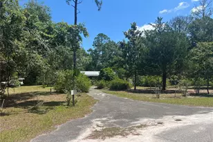 203 SE 45th Ave, Cross City, FL 32628 - Photo 2