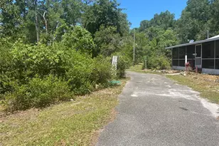 203 SE 45th Ave, Cross City, FL 32628 - Photo 4