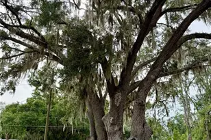 9310 SE 164th Pl, Summerfield, FL 34491 - Photo 22