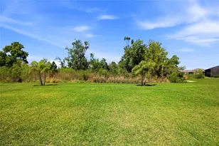9109 Warm Spgs Cir, Parrish, FL 34219 - Photo 52