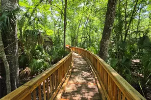 25846 Terrawood Loop, Land O Lakes, FL 34639 - Photo 36