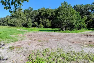 21320 Seneca Hills Rd, Eustis, FL 32736 - Photo 4