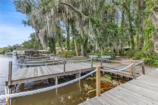 1940 Alice Dr, Astor, FL 32102 - Photo 46