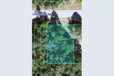 1220 Caribbean Drive, Kissimmee, FL 34759 - Photo 1