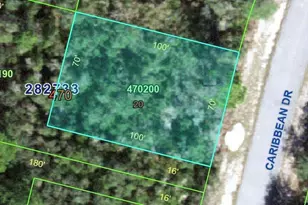 1250 Caribbean Dr, Kissimmee, FL 34759 - Photo 1