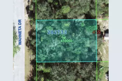 1211 Wahneta Drive, Poinciana, FL 34759 - Photo 1