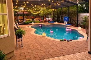 6203 Courtney Cove, Apopka, FL 32703 - Photo 2