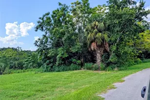 Green Briar Dr, Lady Lake, FL 32159 - Photo 1