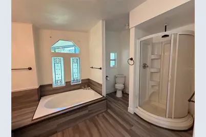 55643 Lisa Street, Astor, FL 32102 - Photo 34