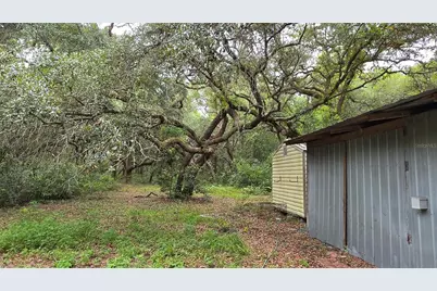 12590 NW 82nd Court, Chiefland, FL 32626 - Photo 18