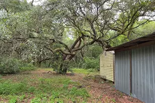 12590 NW 82 Ct, Chiefland, FL 32626 - Photo 18