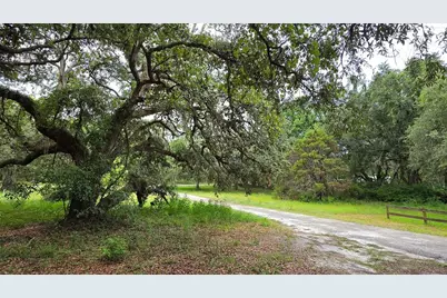 12590 NW 82nd Court, Chiefland, FL 32626 - Photo 8