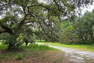 12590 NW 82 Ct, Chiefland, FL 32626 - Photo 8