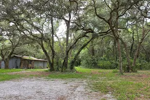12590 NW 82 Ct, Chiefland, FL 32626 - Photo 16