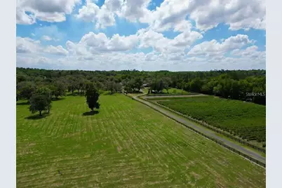 Tbd SE 115th Street, Belleview, FL 34420 - Photo 14