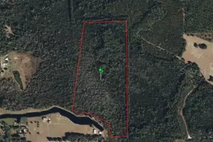 Raulerson Rd, Seville, FL 32190 - Photo 1
