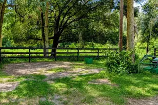 876 Shaw Lake Rd, Pierson, FL 32180 - Photo 12