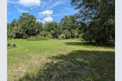 876 Shaw Lake Road, Pierson, FL 32180 - Photo 14