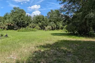 876 Shaw Lake Rd, Pierson, FL 32180 - Photo 14