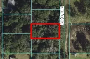 SE 43rd Terrace, Belleview, FL 34420 - Photo 1