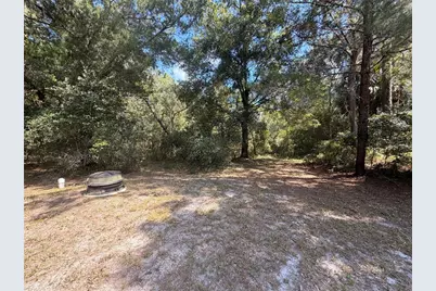 54750 County Road 445A, Astor, FL 32102 - Photo 10