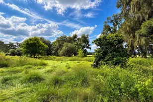 26143 Lambeth Rd, Brooksville, FL 34601 - Photo 60