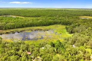 15375 SE 64th Pl, Ocklawaha, FL 32179 - Photo 28