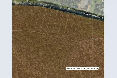 S Orange Blossom Trail, Davenport, FL 33896 - Photo 4