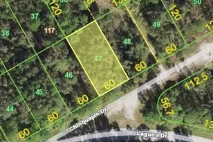 28492 Chinquapin Dr, Punta Gorda, FL 33955 - Photo 1