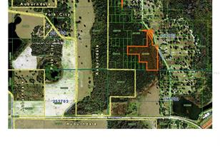 Evans Rd, Polk City, FL 33868 - Photo 1