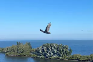 5915 Sea Ranch Dr, Hudson, FL 34667 - Photo 66