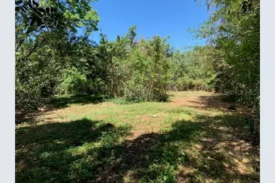 1290 Cinder Lane, Kissimmee, FL 34744 - Photo 6