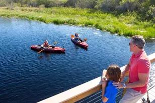 14501 Grove Resort Ave, Winter Garden, FL 34787 - Photo 14