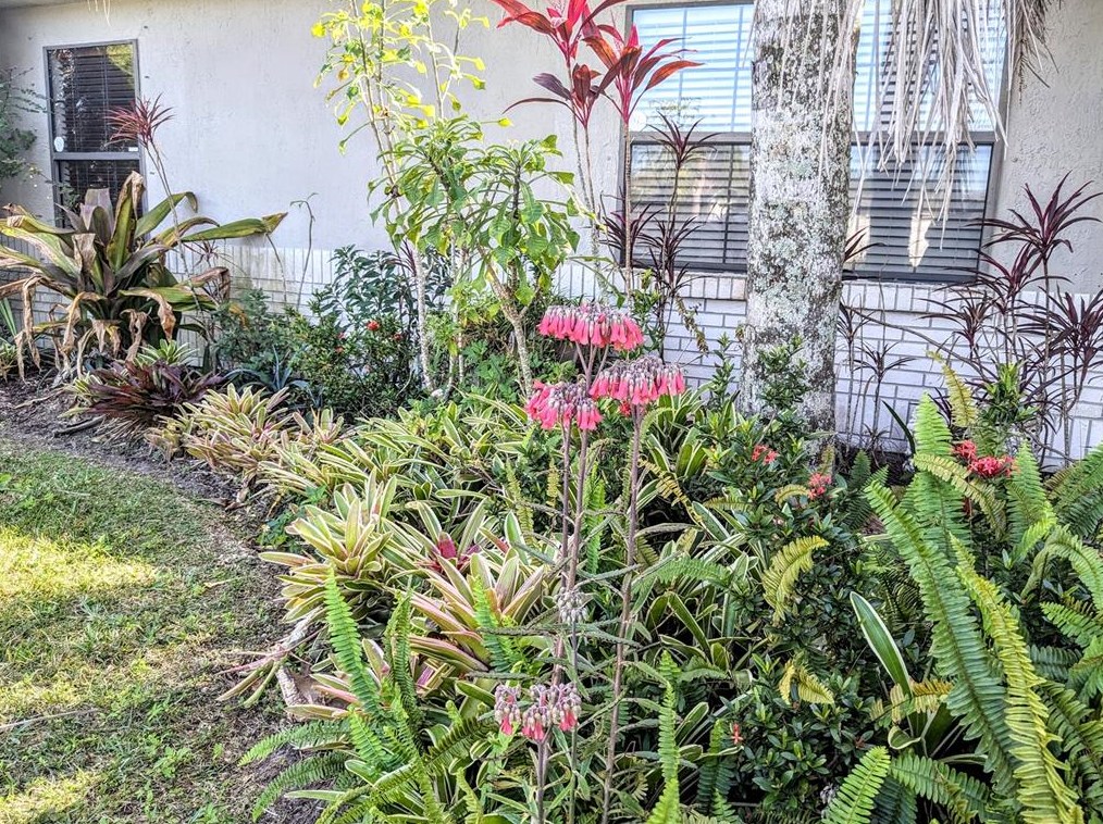 918 Cannes Dr, Kissimmee FL 34759-3815 exterior