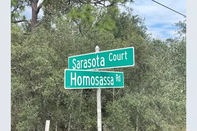 1405 Sarasota Court, Poinciana, FL 34759 - Photo 14